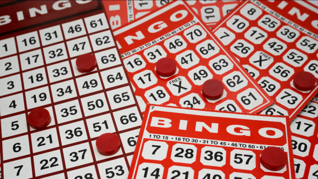 bingo online and offline cards